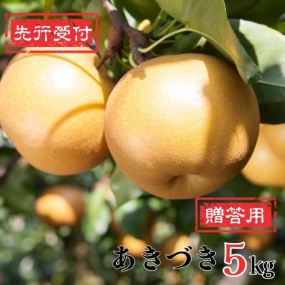 先行受付 和梨 あきづき 5kg [9月中旬～発送予定]新潟県産 梨 [岩福農園]【010P061】