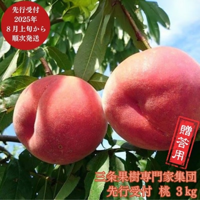 先行受付 桃 約3kg [2025年発送分] もも [三条果樹専門家集団]【017P014】