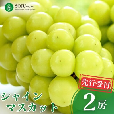 先行受付 シャインマスカット 2房 新潟県 三条市産 【016P032】