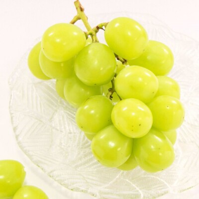 先行受付 シャインマスカット 2房 新潟県 三条市産 【016P032】