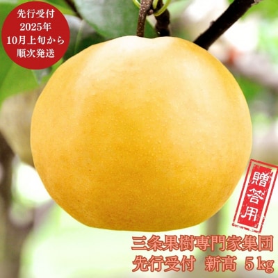 先行受付 和梨 新高梨 約5kg [10月上旬から発送予定] 新潟県 三条市産 【016P022】