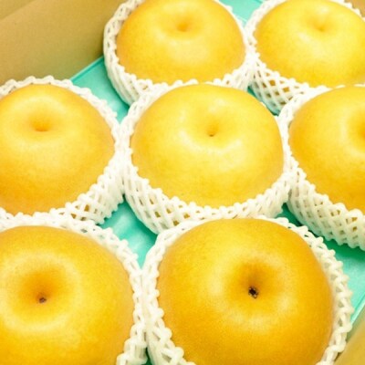 和梨 新高梨 約5kg 令和8年産 新潟県 三条市産 【016P022】