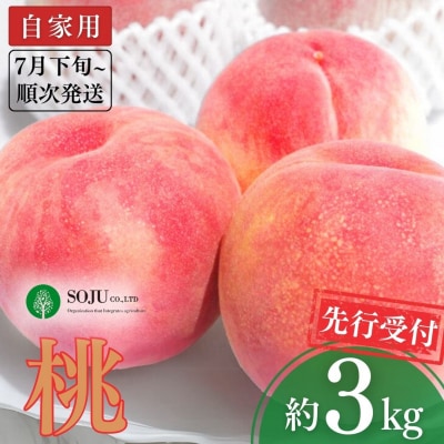 先行受付 桃 自家用 約3kg [7月下旬から発送予定]  [三条果樹専門家集団]【010P044】