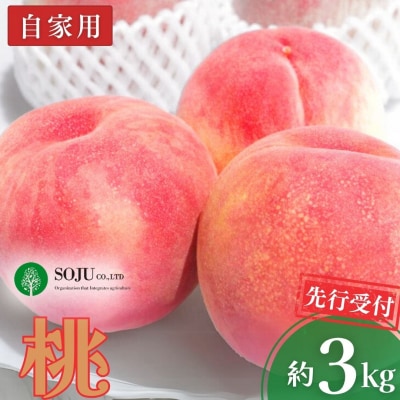 先行受付 桃 自家用 約3kg  [三条果樹専門家集団]【010P044】