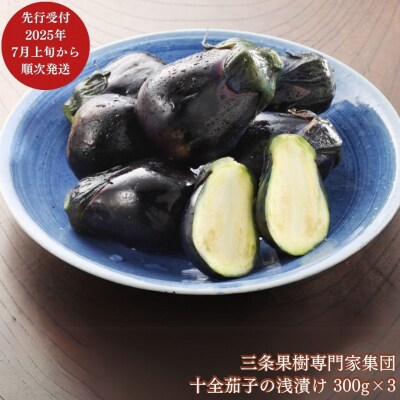 先行受付 十全茄子の浅漬け(300g×3) [7月上旬から発送予定] 新潟県 【010P049】