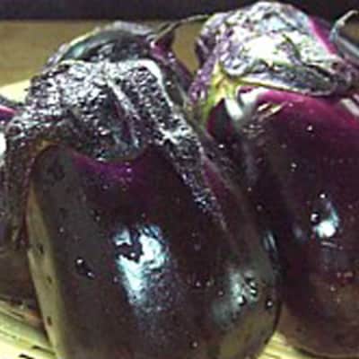 先行受付 十全茄子の浅漬け(300g×3)  新潟県 三条市産 【010P049】