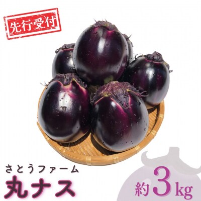 先行受付 丸ナス 約3kg 令和8年度 灰汁が少なく甘味がある丸ナス 【010S017】