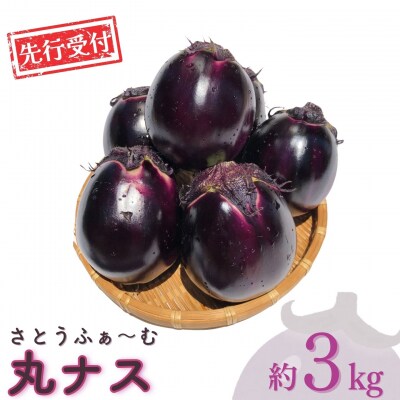 先行受付 丸ナス 約3kg 令和8年度 灰汁が少なく甘味がある丸ナス 【010S017】