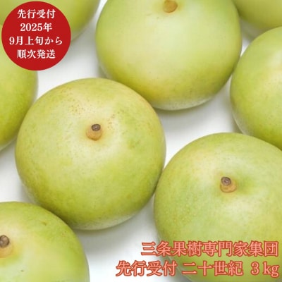 先行受付 和梨 二十世紀 約3kg [9月上旬から発送予定] 新潟県 三条市産【016P034】