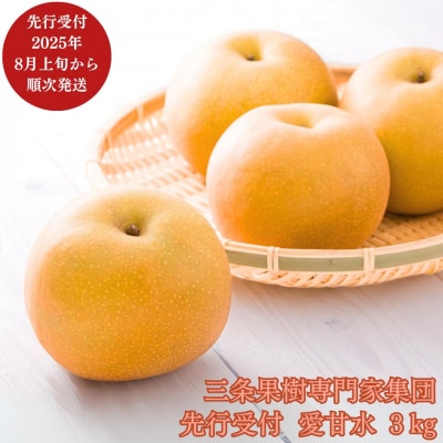 先行受付 和梨 愛甘水 約3kg [8月上旬から発送予定] 新潟県 三条市産 【016P025】