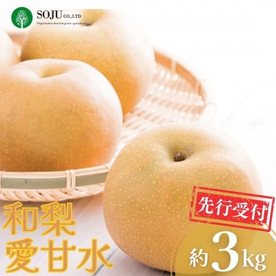 先行受付 和梨 愛甘水 約3kg 令和8年産 新潟県 三条市産 【016P025】
