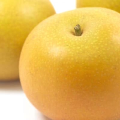 先行受付 和梨 幸水 5kg [8月下旬～発送予定] 新潟県産 梨 [岩福農園]【010P045】