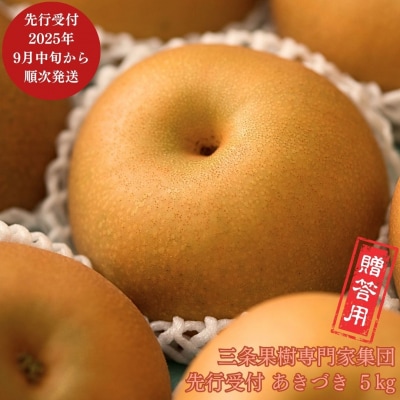 先行受付 和梨 あきづき 約5kg  [9月中旬から発送予定] 令和7年度 新潟県【016P021】