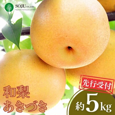先行受付 和梨 あきづき 約5kg 令和8年度 新潟県【016P021】
