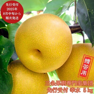 先行受付 和梨 幸水 約5kg [8月中旬から発送予定] 新潟県 【016P019】