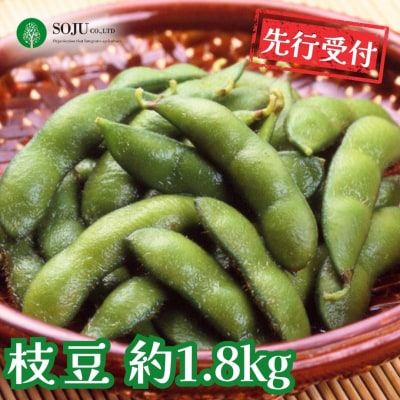 先行受付 枝豆 1.8kg 令和8年度 新潟県 三条市産【010P050】