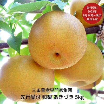 先行受付 和梨 あきづき 5kg [2023年発送予定] 贈答用 ギフト 和梨 梨【016P021】 | ふるさと納税のお礼品