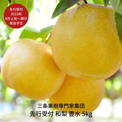 先行受付 和梨 豊水 5kg [2023年発送予定] 贈答用 ギフト 三条市産【016P020】 | ふるさと納税のお礼品