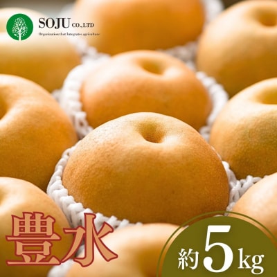 和梨 豊水 約5kg 新潟県 三条市産 【016P020】