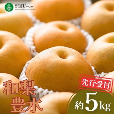 先行受付 和梨 豊水 約5kg 令和8年産 新潟県 三条市産 【016P020】