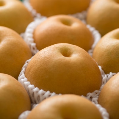 先行受付 和梨 豊水 約5kg 令和8年産 新潟県 三条市産 【016P020】