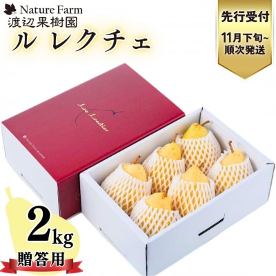 先行受付 ル レクチェ 2kg 4～7玉 西洋梨 贈答用 洋梨 [渡辺果樹園] 【011S075】