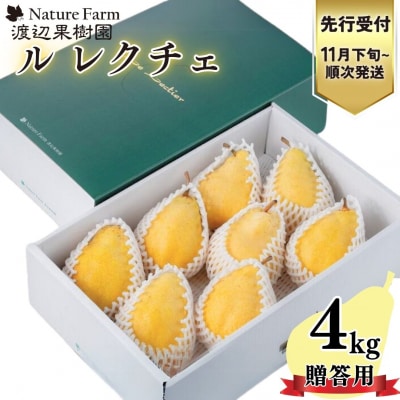 先行受付 ル レクチェ 4kg 8～14玉 西洋梨 贈答用 洋梨 [渡辺果樹園] 【024S019】