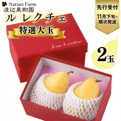 先行受付 特選大玉ルレクチェ 2玉 化粧箱 西洋梨 洋梨  [渡辺果樹園] 【010S239】