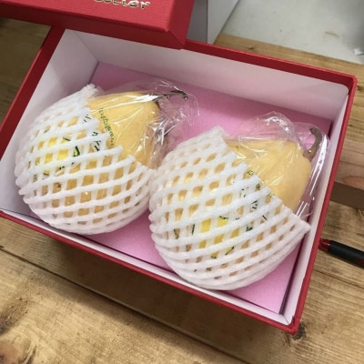 先行受付 特選大玉ルレクチェ 2玉 化粧箱 西洋梨 洋梨  [渡辺果樹園] 【010S239】
