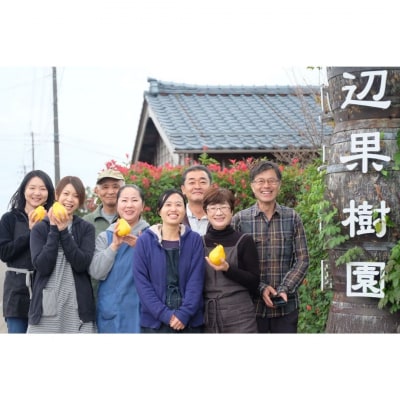 先行受付 特選大玉ルレクチェ 2玉 化粧箱 西洋梨 洋梨  [渡辺果樹園] 【010S239】