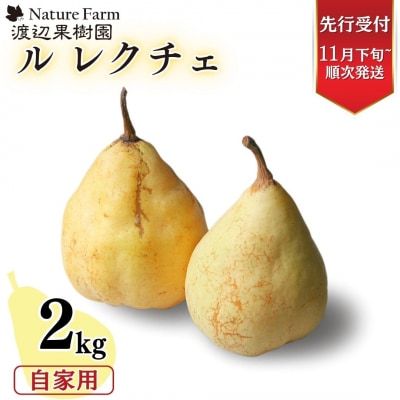 先行受付 ル レクチェ 自家用 2kg 4～7玉 西洋梨 洋梨 [渡辺果樹園] 【010S240】
