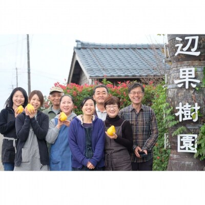 先行受付 ル レクチェ 自家用 2kg 4～7玉 西洋梨 洋梨 [渡辺果樹園] 【010S240】