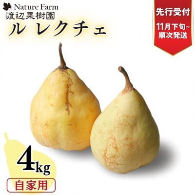 先行受付 ル レクチェ 自家用 4kg 10～14玉 西洋梨 洋梨[渡辺果樹園] 【018S021】