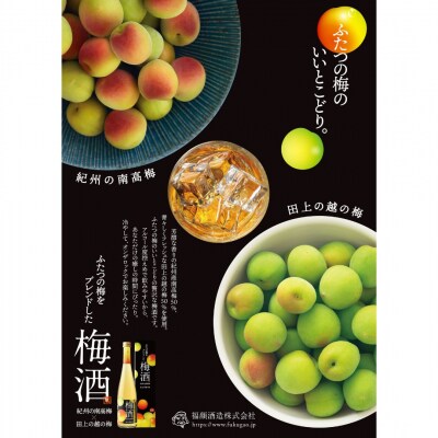ふたつの梅をブレンド「福顔の梅酒」500ml×2本 福顔酒造【010S241】