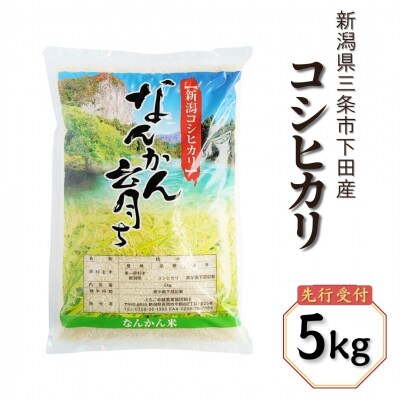 新米 先行受付 コシヒカリ 5kg 令和7年産 新潟県三条市下田産 【010S242】