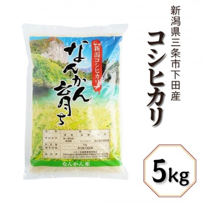 先行受付 コシヒカリ 5kg 令和8年産 新潟県三条市下田産 【010S242】