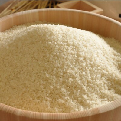 新米 先行受付 コシヒカリ 5kg 令和7年産 新潟県三条市下田産 【010S242】