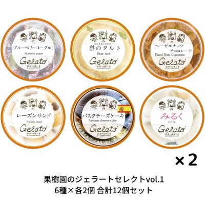 果樹園のジェラートセレクトvol.1 [6種×各2個] 合計12個セット【019S036】