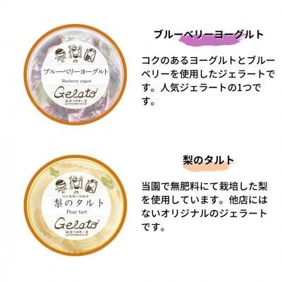 果樹園のジェラートセレクトvol.1 [6種×各2個] 合計12個セット【019S036】