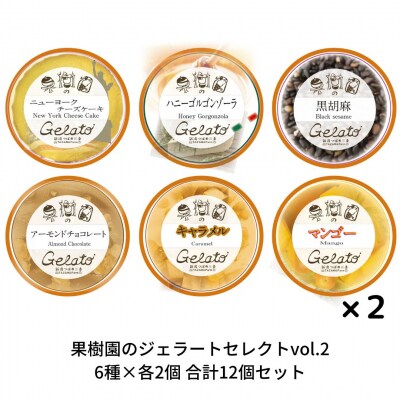 果樹園のジェラートセレクトvol.2 [6種×各2個] 合計12個セット【019S037】