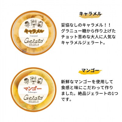 果樹園のジェラートセレクトvol.2 [6種×各2個] 合計12個セット【019S037】