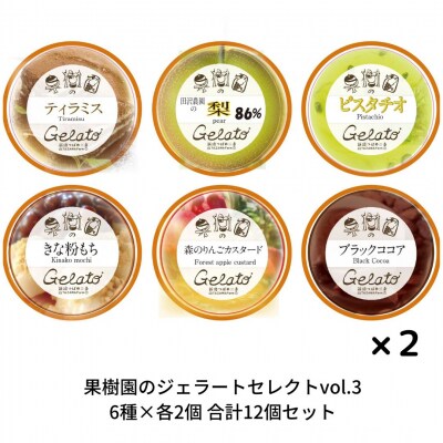 果樹園のジェラートセレクトvol.3 [6種×各2個] 合計12個セット【019S038】