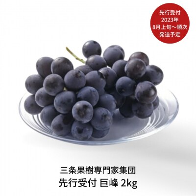 先行受付 ぶどう 巨峰 2kg [2023年発送予定] 贈答用 ギフト【016P033】 | ふるさと納税のお礼品