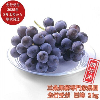 先行受付 巨峰 約2kg  [8月上旬から発送予定] 新潟県 三条市産 ぶどう 【016P033】