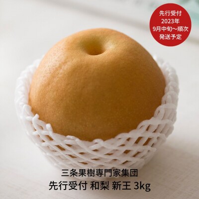 先行受付 オリジナル和梨 新王 3kg [2023年発送予定] 贈答用 ギフト【016P041】 | ふるさと納税のお礼品