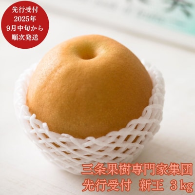 先行受付 新潟オリジナル和梨 新王 約3kg [9月中旬から発送予定] 新潟県【016P041】