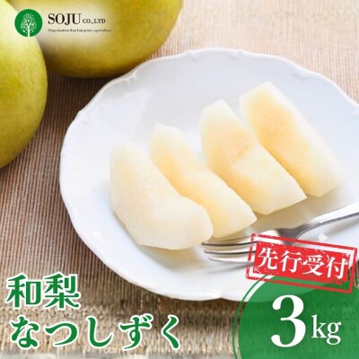 先行受付 和梨 なつしずく 約3kg 令和8年産 新潟県 三条市産【016P036】