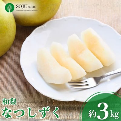 和梨 なつしずく 約3kg 令和8年産 新潟県 三条市産【016P036】