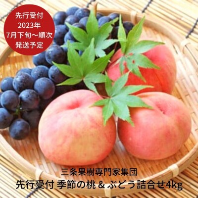 先行受付 季節の桃&ぶどう詰合せ4kg [2023年発送予定] 三条果樹専門家集団【038P006】 | ふるさと納税のお礼品