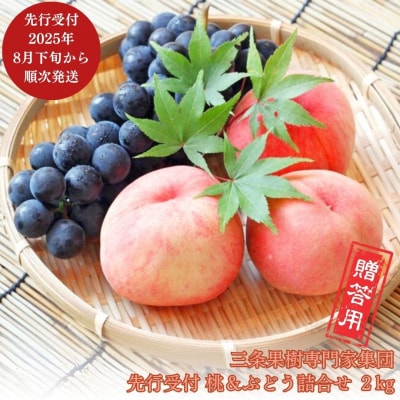 先行受付 季節の桃&ぶどう詰合せ 約2kg [9月上旬から発送予定] 新潟県 【016P042】